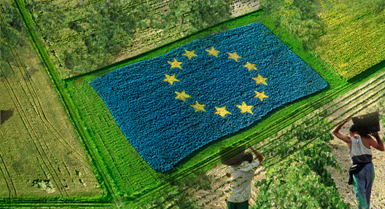 Resultat d'imatges de agricultura europea
